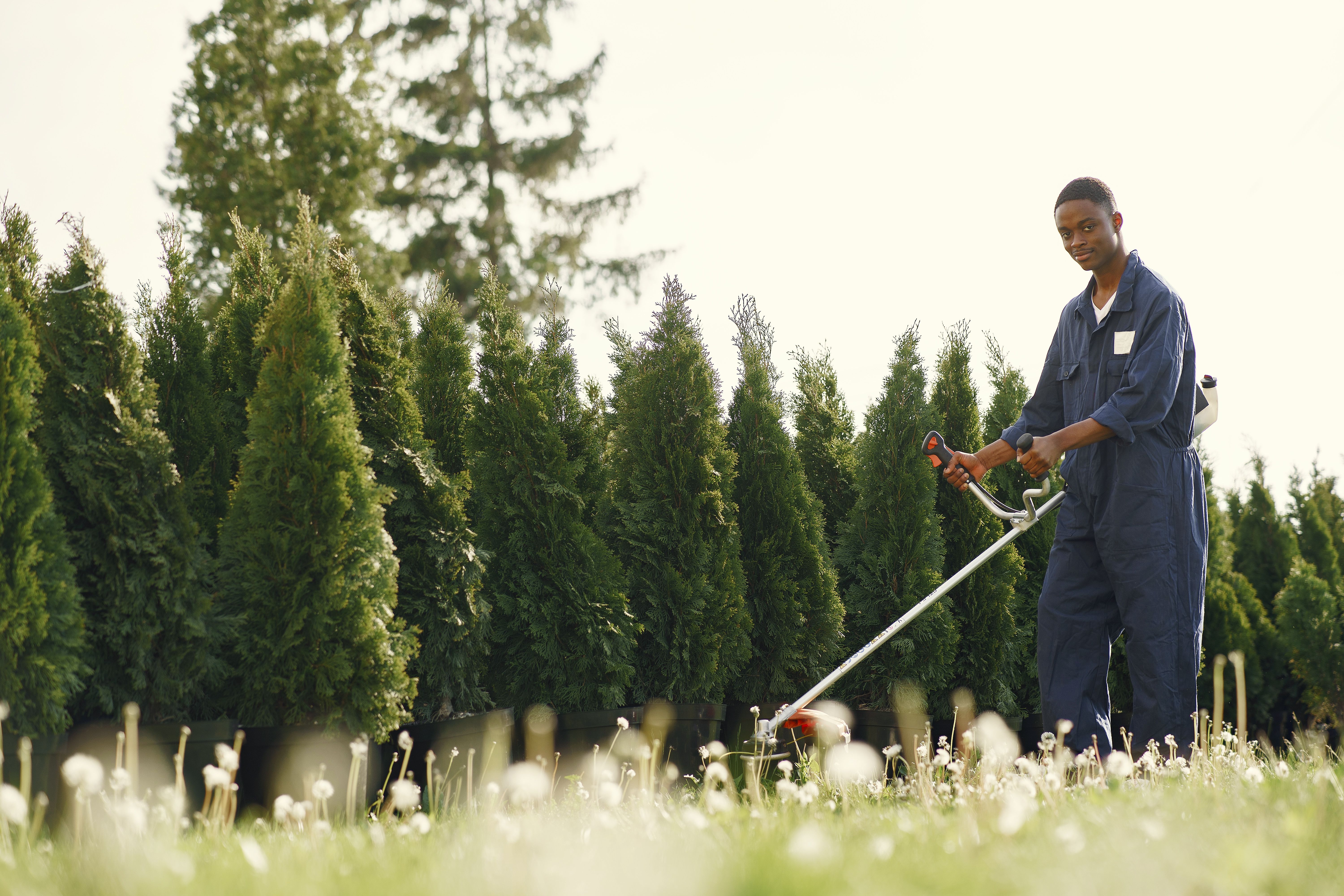 Grass maintenance work