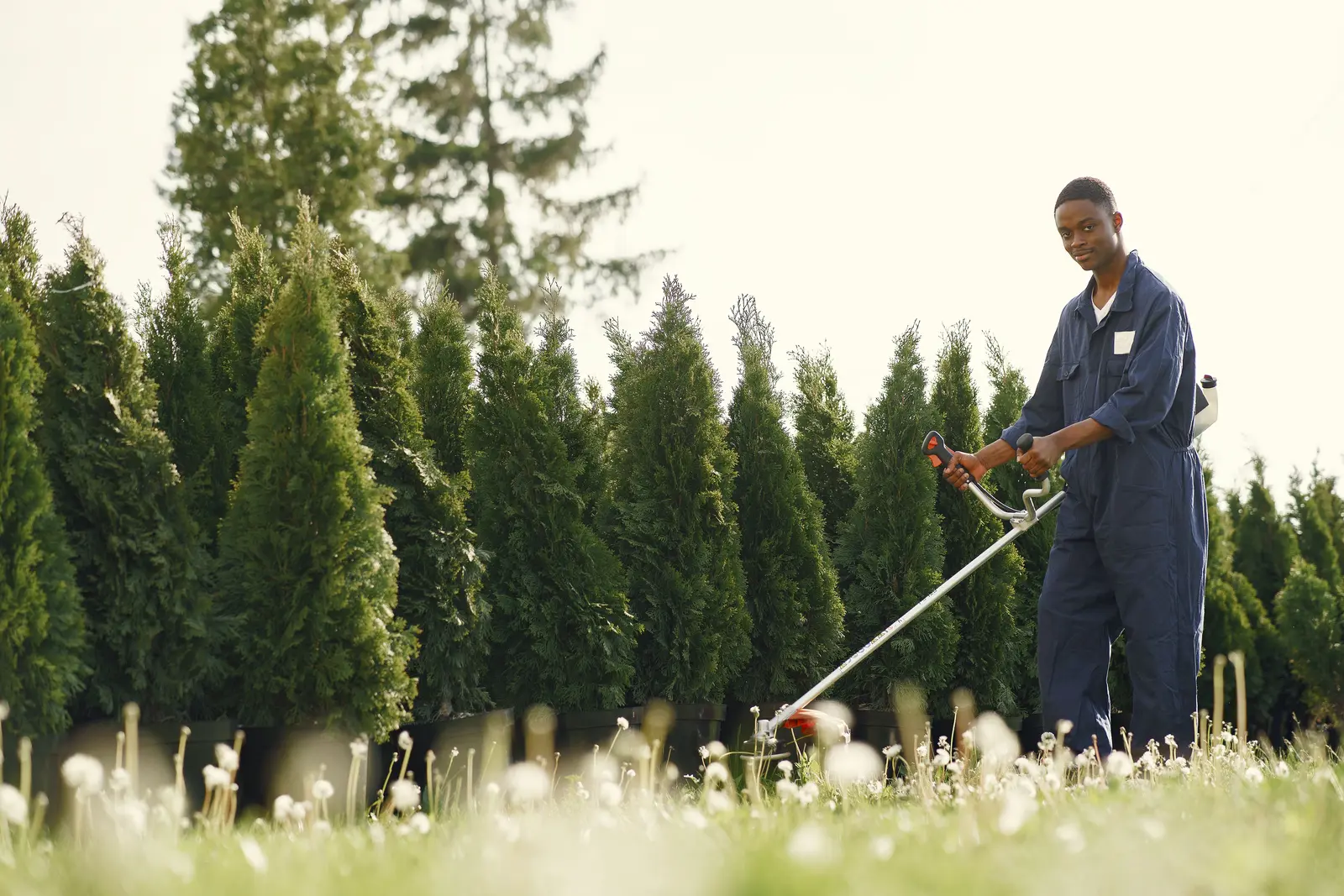 Grounds maintenance professional working on grass